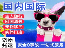 白云机场空运国际宠物托运 【国
